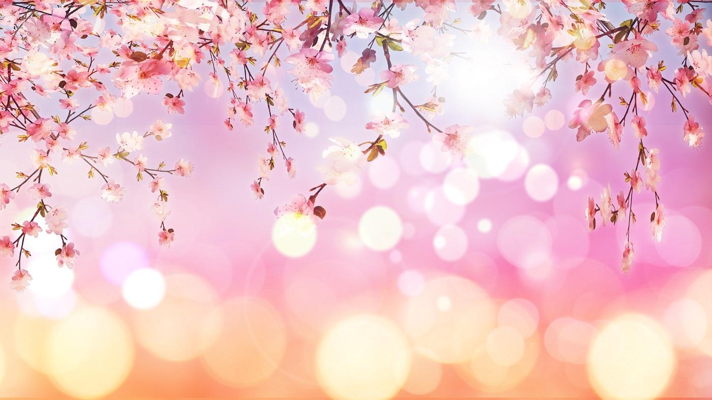 Spring has come: чем заняться в весенний сезон?
