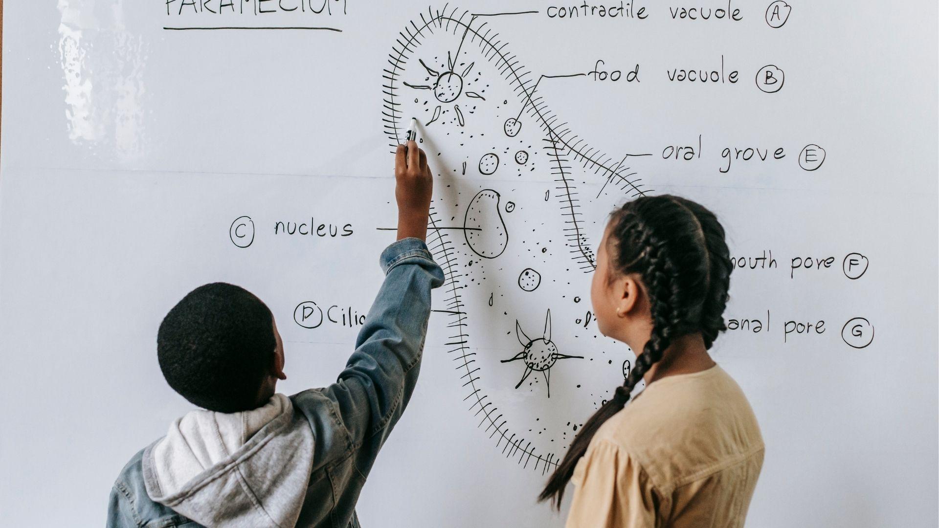 Расписание и цены