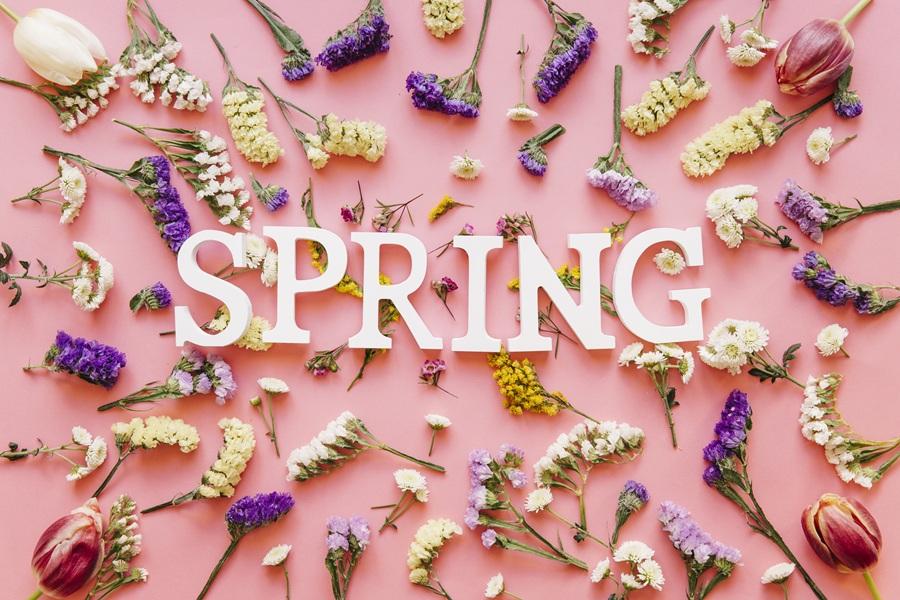 Выражения со словом spring в английском языке